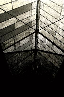 ireneusz borowski - linoryt punktowy - linocut