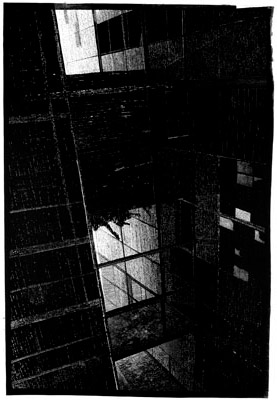 ireneusz borowski - linoryt punktowy - linocut